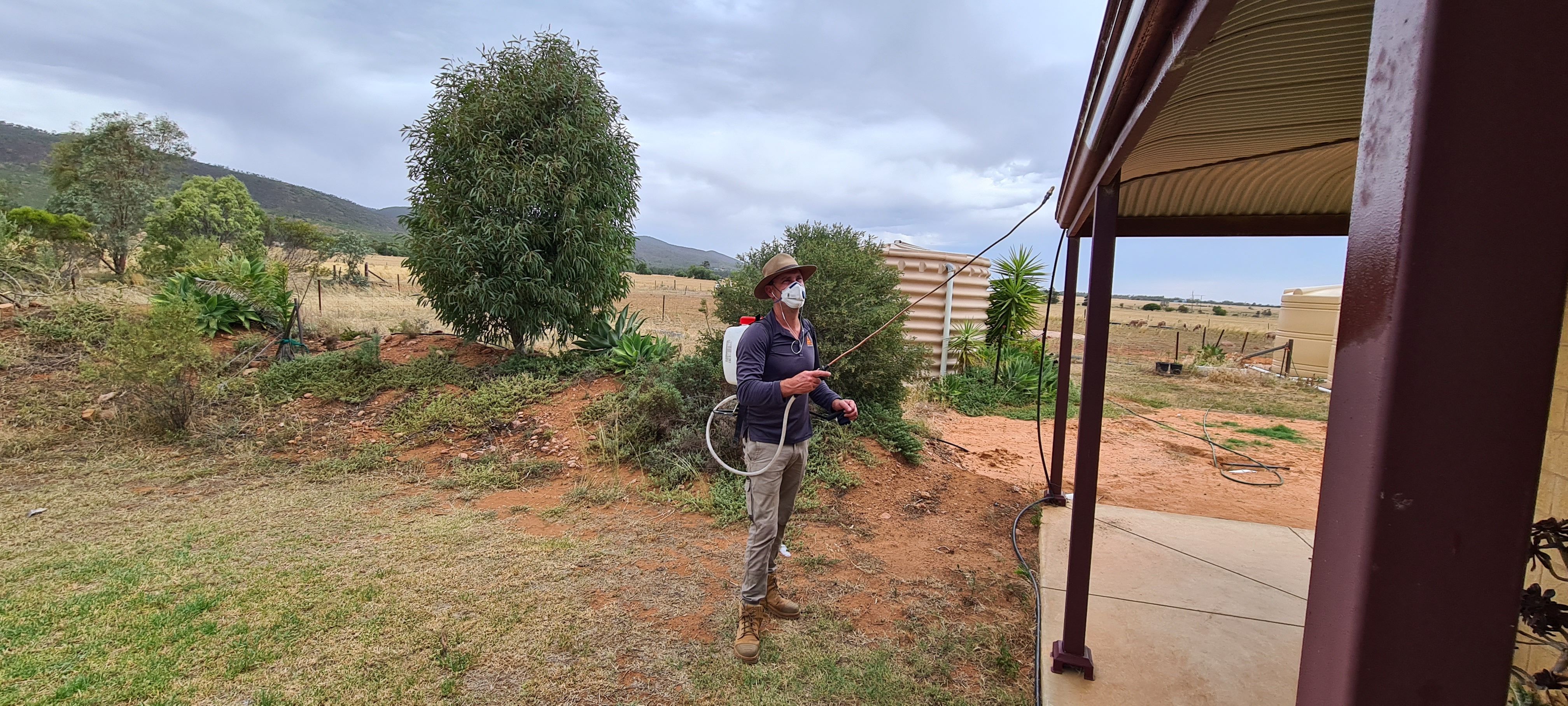 Adam treating shrubs and garden beds around a rural home for mosquitoes